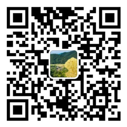 优乐彩网址